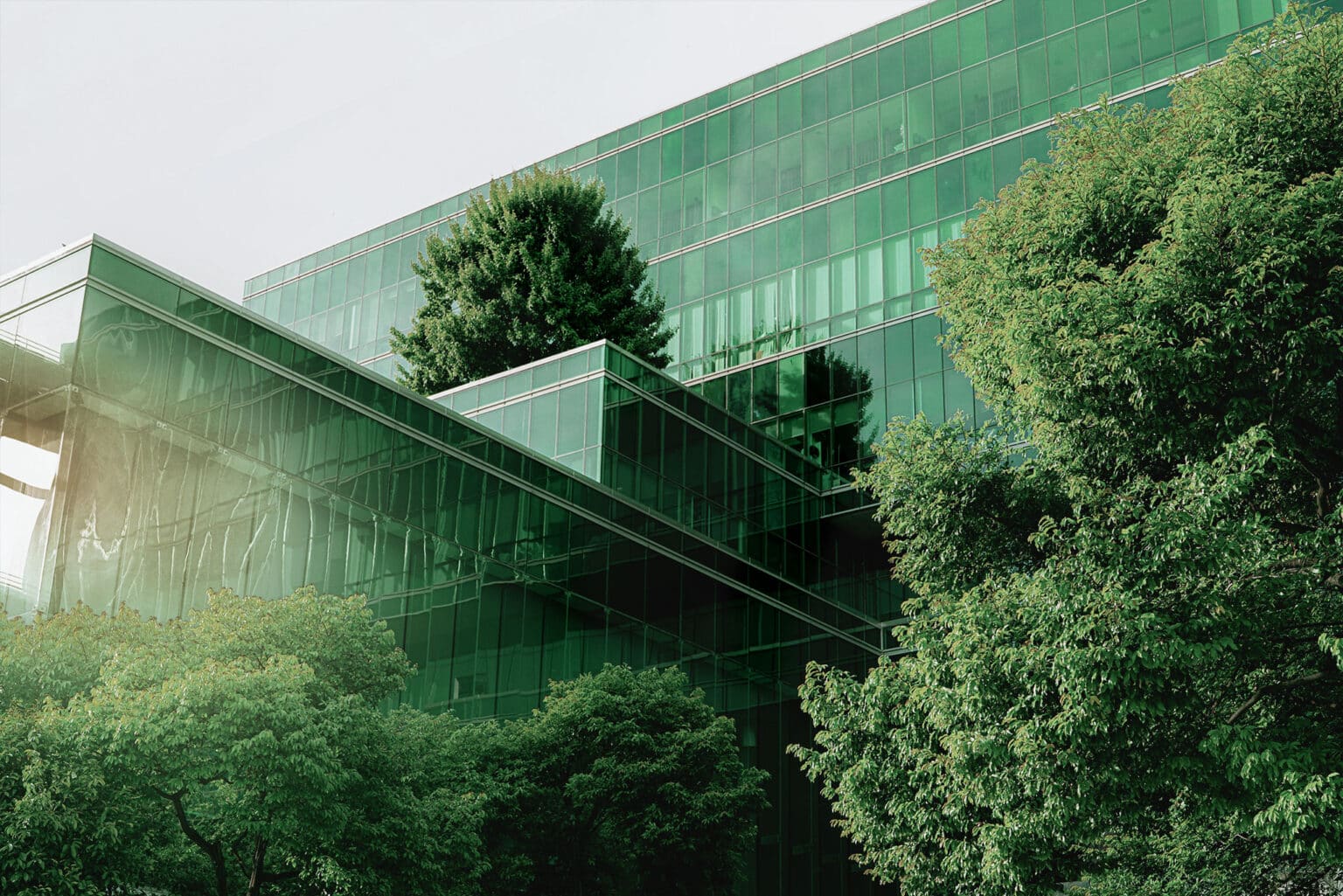 A closer look at Green Building Techniques In Nyc Construction